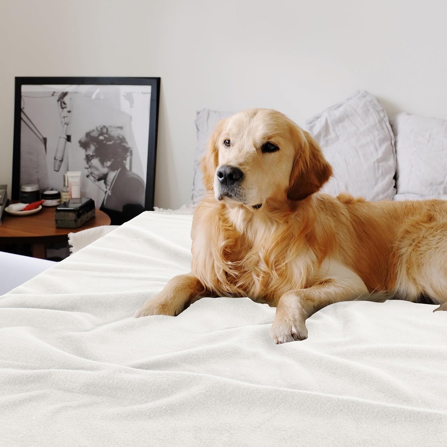 Fleece Throw Blankets Bulk Fleece Blankets Solid Wholesale Lightweight Warm Soft for Pet Bed Sofa Couch Office Wedding Gifts Travel Seasons Yellow 50x60 Inches Pack of 6