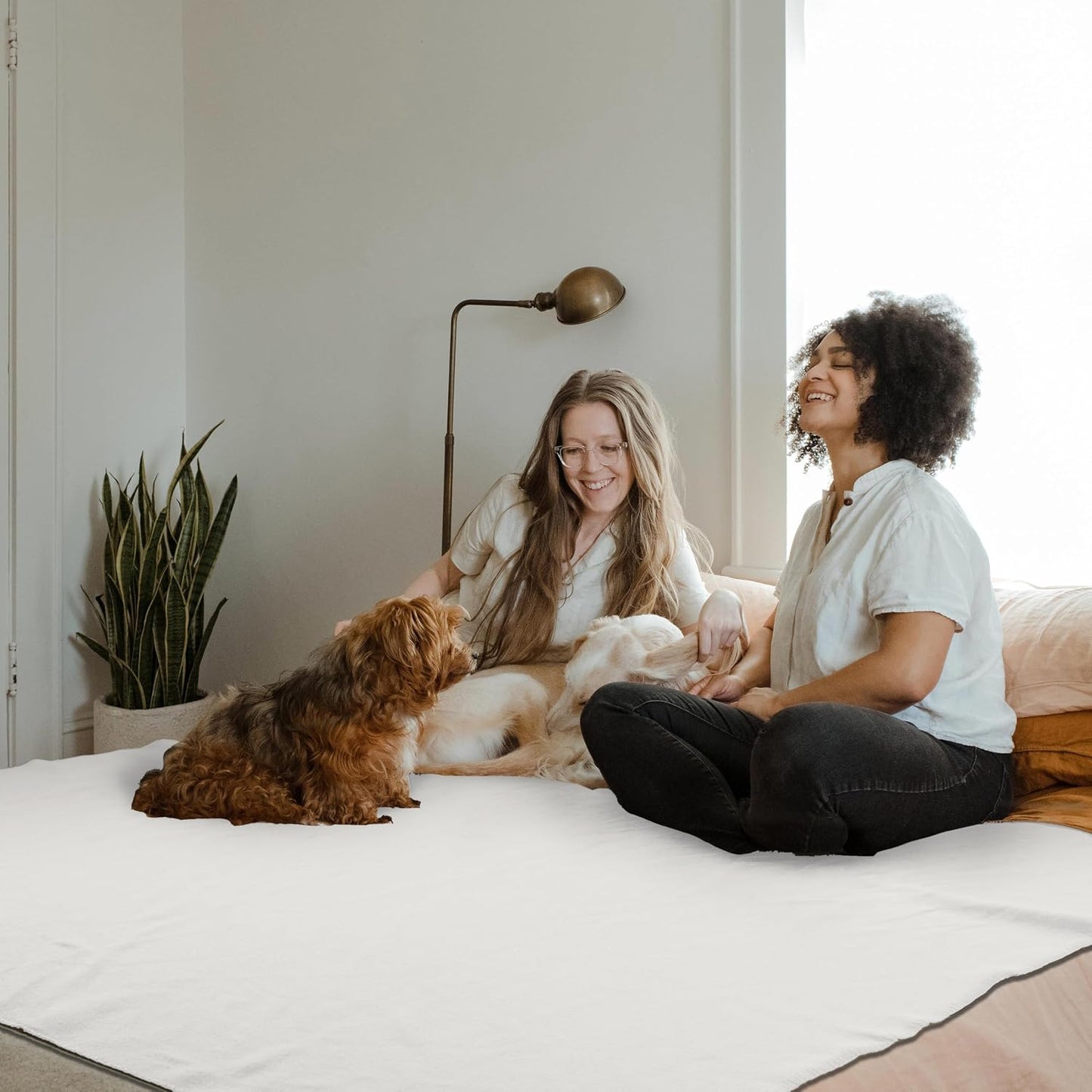 Fleece Throw Blankets Bulk Fleece Blankets Solid Wholesale Lightweight Warm Soft for Pet Bed Sofa Couch Office Wedding Gifts Travel Seasons Yellow 50x60 Inches Pack of 6