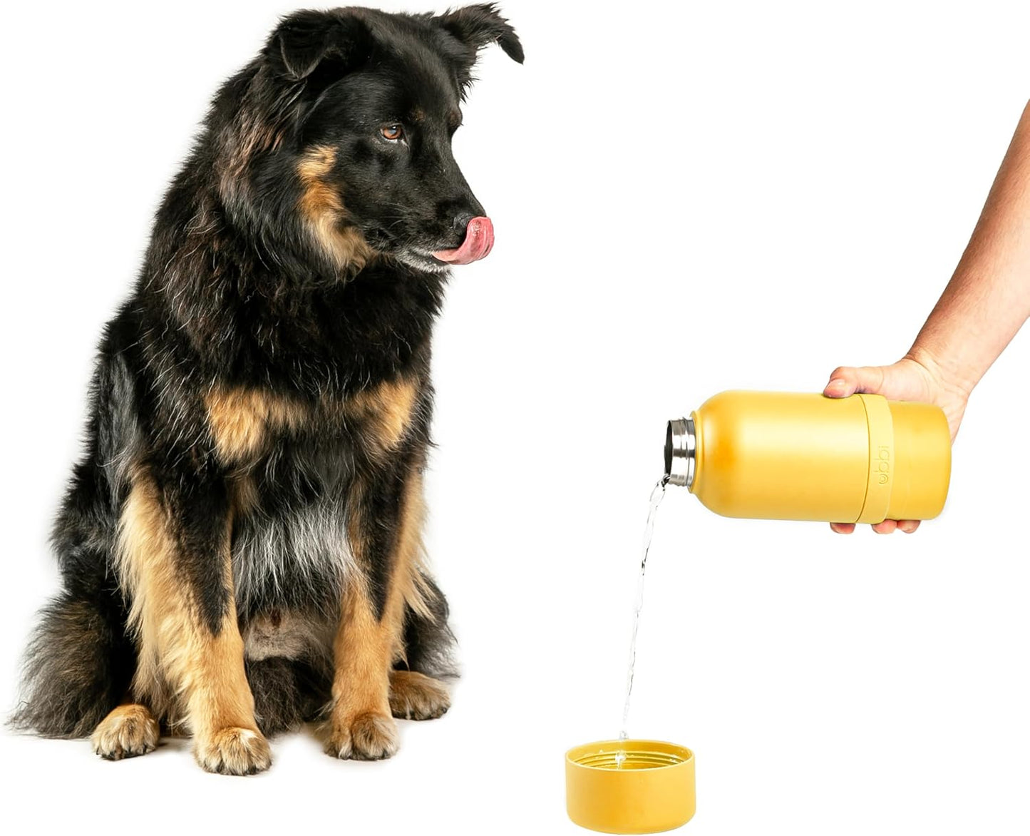 Pup & Me Insulated Stainless Steel Dog Water Bottle, Yellow | Includes Attached Bowl for Water, 32 oz Portable Leakproof Bottle for Pets & Owners, Travel Accessories for Pets