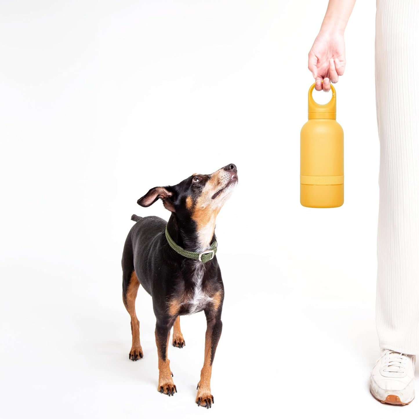 Pup & Me Insulated Stainless Steel Dog Water Bottle, Yellow | Includes Attached Bowl for Water, 32 oz Portable Leakproof Bottle for Pets & Owners, Travel Accessories for Pets