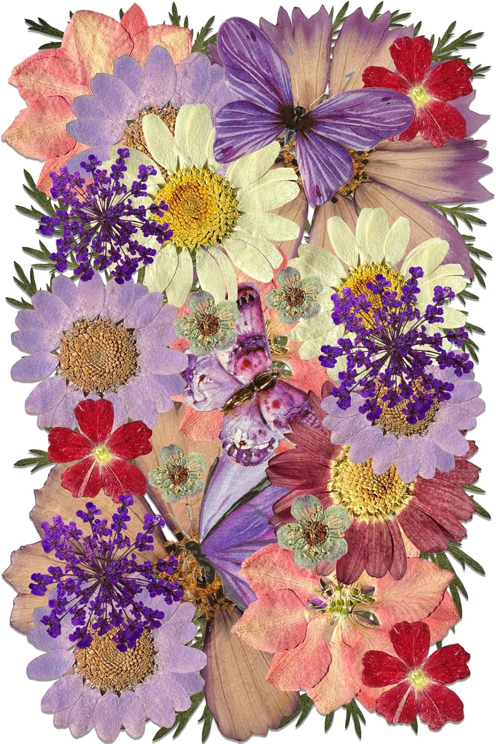 Natural Dried Pressed Flowers, Real Nature Flowers Craft Set for Resin Jewelry Candle Soap Vase Making Nail Card Scrapbook Art Floral Decors (Purple)