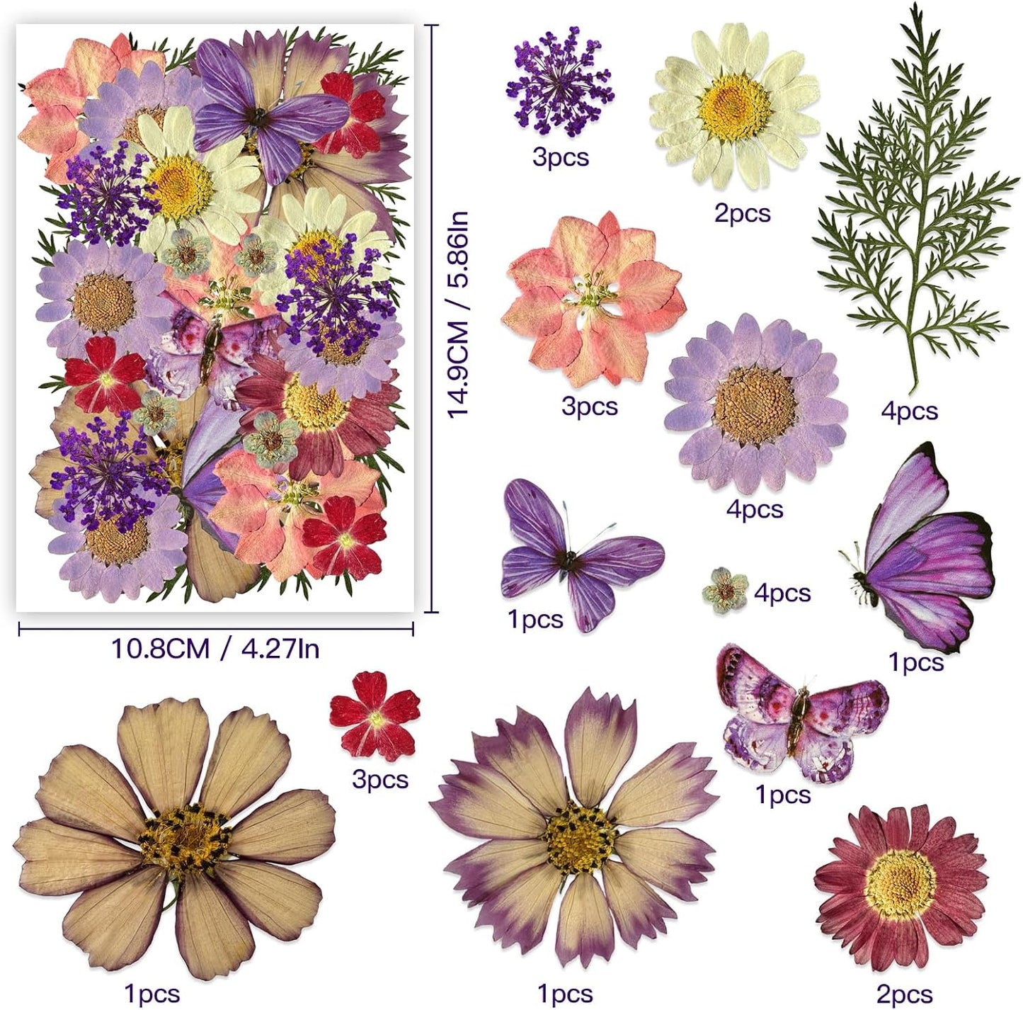Natural Dried Pressed Flowers, Real Nature Flowers Craft Set for Resin Jewelry Candle Soap Vase Making Nail Card Scrapbook Art Floral Decors (Purple)