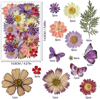 Natural Dried Pressed Flowers, Real Nature Flowers Craft Set for Resin Jewelry Candle Soap Vase Making Nail Card Scrapbook Art Floral Decors (Purple)