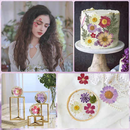 Natural Dried Pressed Flowers, Real Nature Flowers Craft Set for Resin Jewelry Candle Soap Vase Making Nail Card Scrapbook Art Floral Decors (Purple)