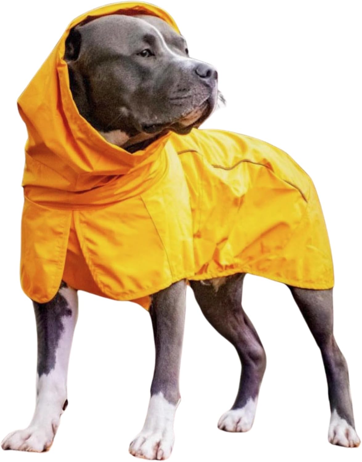 Dog Raincoat - Waterproof Rain Jacket w/Hood, Full Coverage | Waterproof Coat Covers Full Body incl. Belly - Reflective, Covered Harness Holes, Lightweight, Small, Medium & Large Dogs