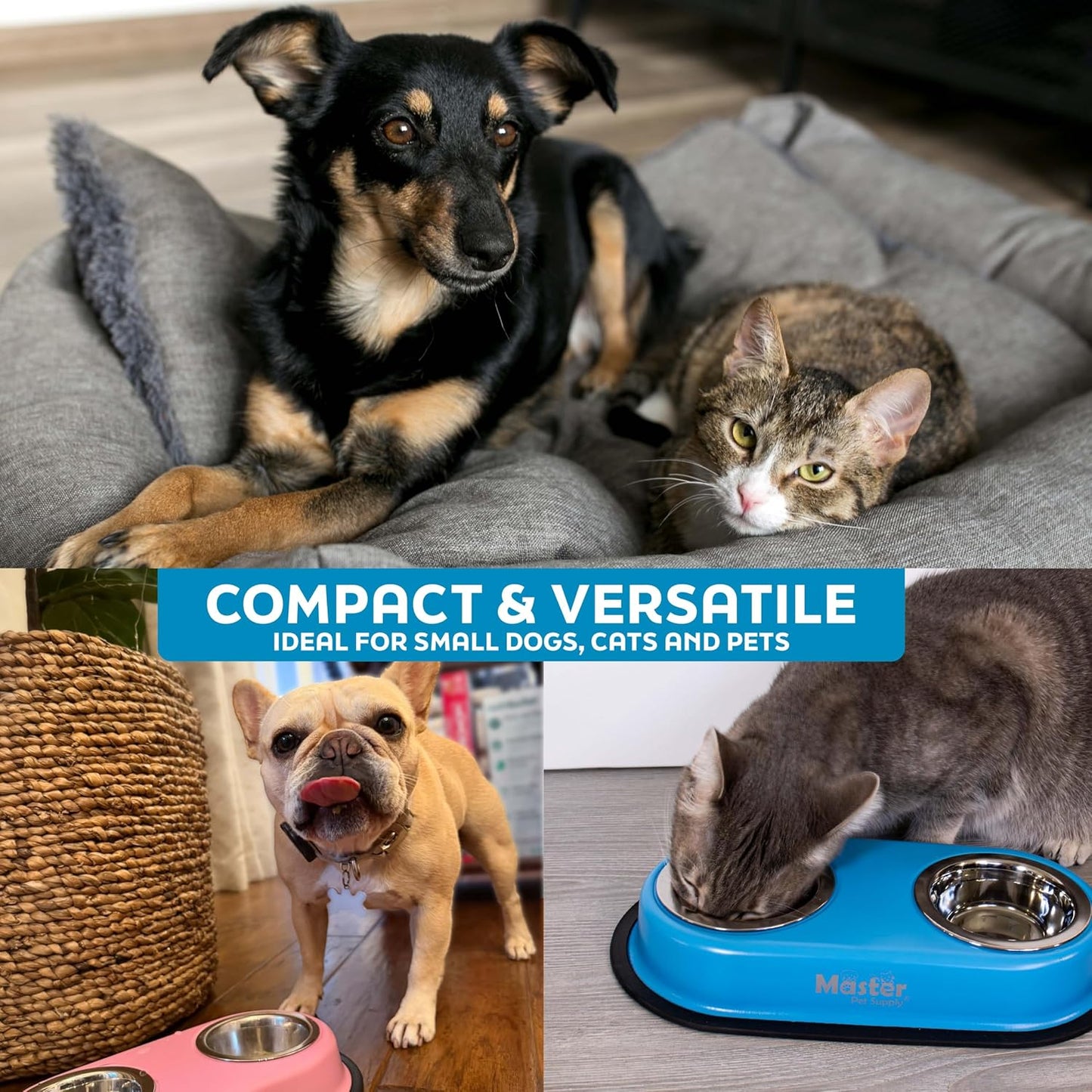 Double Dog Bowls Set with Elevated Base and 2 (8 oz) Stainless Steel Removable Dishes (Mango Tango) – Double Cat Food Water Bowl, Dog Puppy Food Bowl Set, Rust Resistant