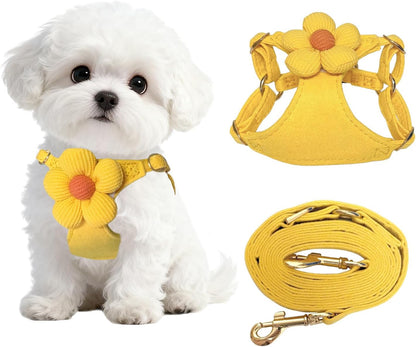 No Pull Dog Harness and Leash Set for Small Sized Dog Training with Multifunction Dog Leash, Soft Adjustable No Choke Escape Proof Pet Harness for Small and Medium Dog (Yellow, XXS)