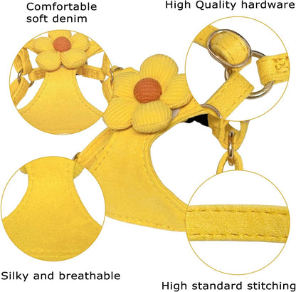 No Pull Dog Harness and Leash Set for Small Sized Dog Training with Multifunction Dog Leash, Soft Adjustable No Choke Escape Proof Pet Harness for Small and Medium Dog (Yellow, XXS)