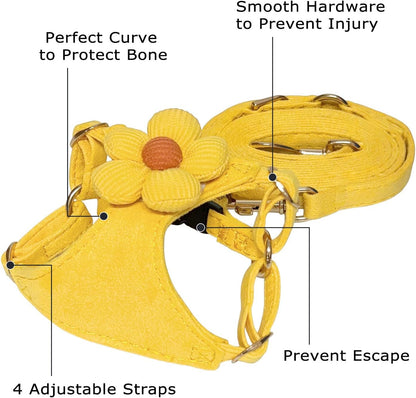 No Pull Dog Harness and Leash Set for Small Sized Dog Training with Multifunction Dog Leash, Soft Adjustable No Choke Escape Proof Pet Harness for Small and Medium Dog (Yellow, XXS)