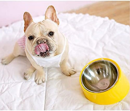 Slanted Dog Bowl Slow Feeder, 15° Tilted Elevated Raised Food Water Dish, Anti-Choke Anti-Gulping for Cats Dogs, Non-Spill Weighted Base, for Medium Dogs Standard Pets, Yellow