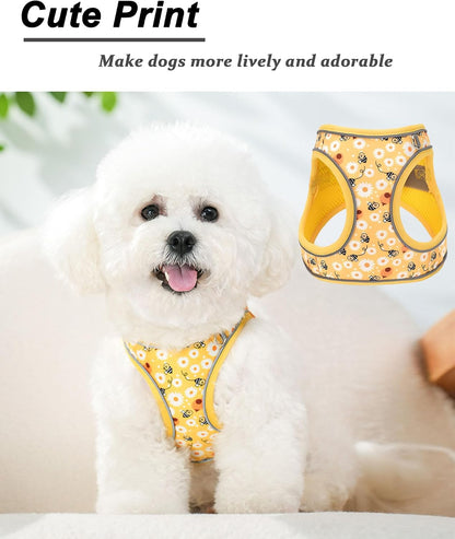 XXS Yellow Flower Pattern Dog Harness and Leash Set,No Escape Harnesses for Training Walking，Breathable Adjustable Puppy Vest for Small Medium Dogs, Cats (Yellow, XXS)