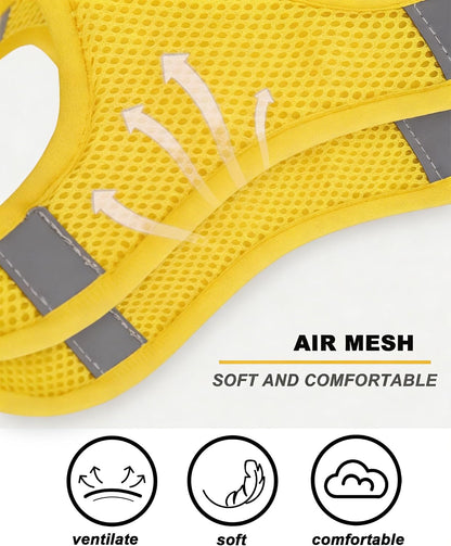 XXS Yellow Flower Pattern Dog Harness and Leash Set,No Escape Harnesses for Training Walking，Breathable Adjustable Puppy Vest for Small Medium Dogs, Cats (Yellow, XXS)