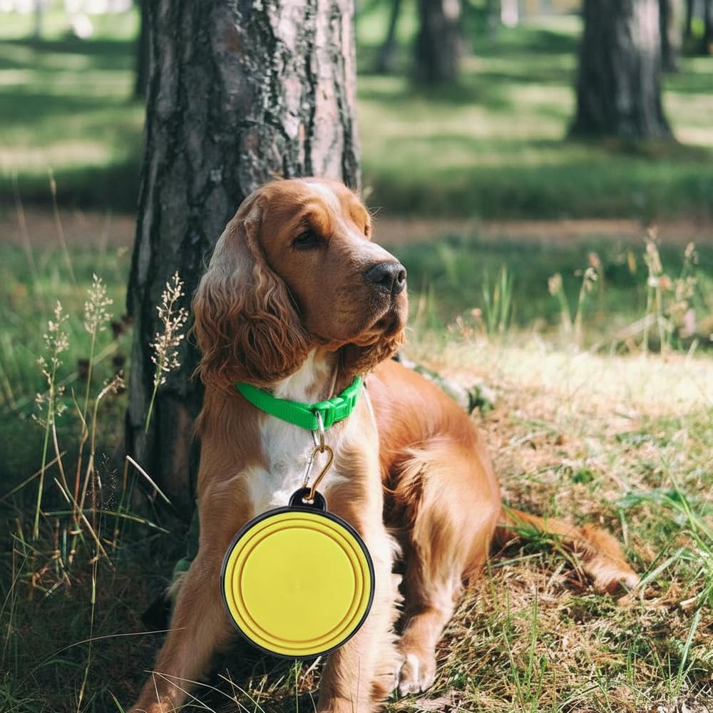Silicone Foldable Pet Food Water Feeder, Collapsible Travel Bowl for Dog and Cat, Outdoor Portable (Yellow)