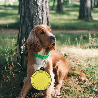 Silicone Foldable Pet Food Water Feeder, Collapsible Travel Bowl for Dog and Cat, Outdoor Portable (Yellow)