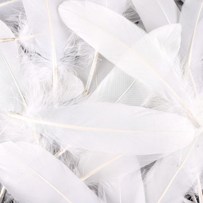 120pcs Yellow Goose Feathers Natural Bulk 6-8 inch 15-20cm for Crafts DIY Cosplay Wedding Party Halloween Decoration Goose Nagoire Feathers