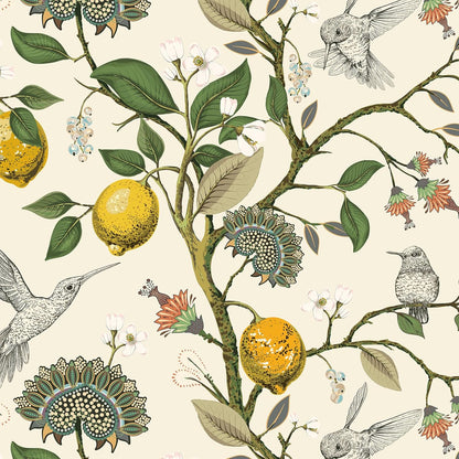 Vintage Bird & Lemon Tree Wallpaper Stick and Peel Boho Farmhouse Kitchen Waterproof Aesthetic Wall Paper Self Adhesive Neutral Cream Beige Hummingbird Yellow Lemon Contact Paper 17.5x78.8"