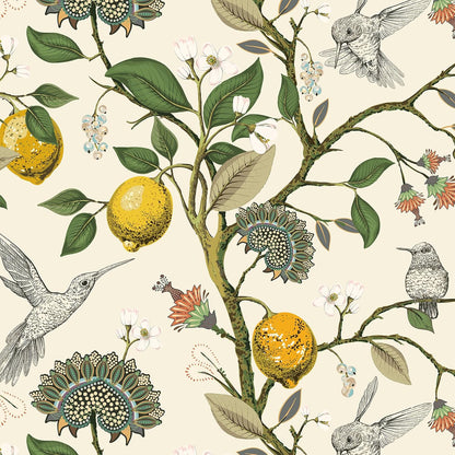 Vintage Bird & Lemon Tree Wallpaper Stick and Peel Boho Farmhouse Kitchen Waterproof Aesthetic Wall Paper Self Adhesive Neutral Cream Beige Hummingbird Yellow Lemon Contact Paper 17.5x78.8"