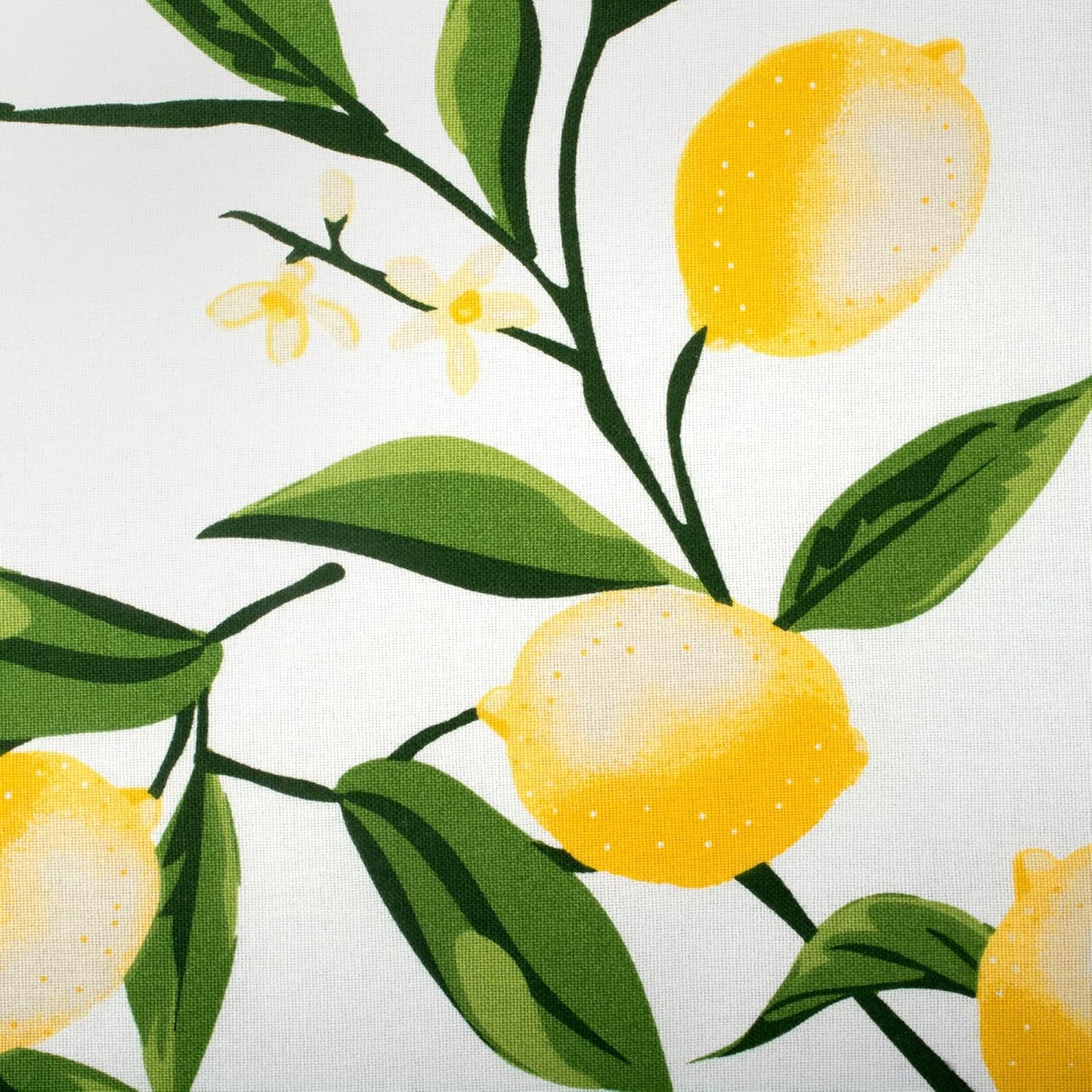 Lemon Bliss Tabletop Collection, Napkin Set, 6 Piece