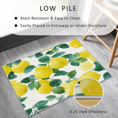 Lemon Throw Rug for Entryway, Washable Non Slip, 2x3 Small Indoor Doormat Farmhouse Fruit Design for Bedroom Kitchen, Lemon Home Decor Door Mat, Low Pile Soft