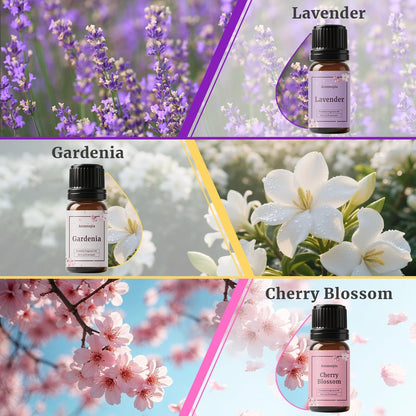 Diffuser Fragrance Oils, Essential Oils for Diffusers for Home, 6x10ml Fresh Home Set, Clean Scents for Candle Soap Making, Dryer Ball, Fresh Linen, Crisp Breeze, Fresh Laundry, Lemon