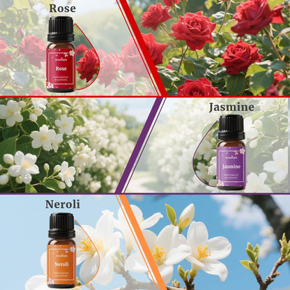 Diffuser Fragrance Oils, Essential Oils for Diffusers for Home, 6x10ml Fresh Home Set, Clean Scents for Candle Soap Making, Dryer Ball, Fresh Linen, Crisp Breeze, Fresh Laundry, Lemon
