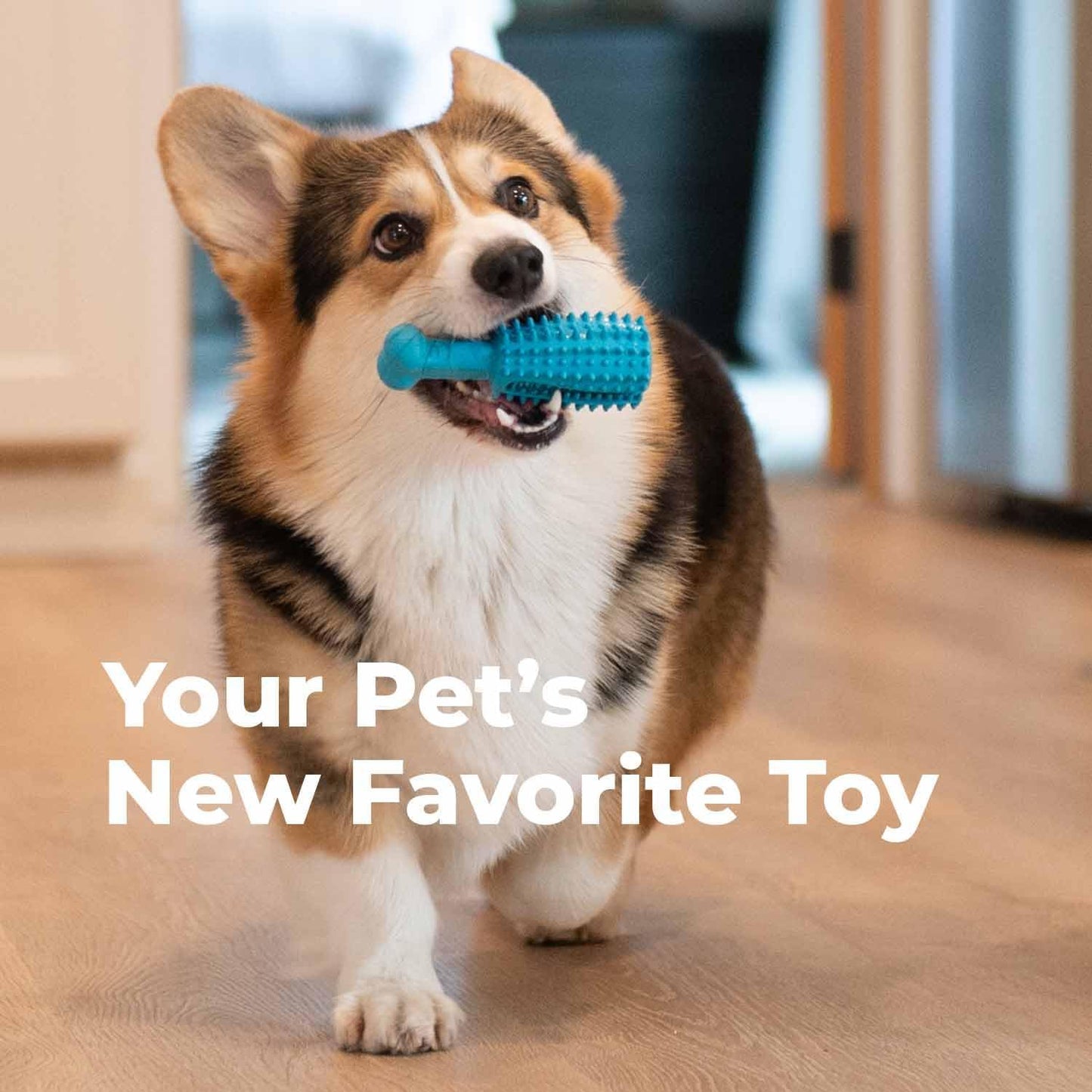 Premium Dog Dental Chew Toy – Helps Fight Plaque & Tartar | Fun Way to Help Clean Stinky, Yellow Dog Teeth – Natural Rubber is Gentle on Gums – Helps Cleans Teeth & Freshens Breath
