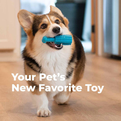 Premium Dog Dental Chew Toy – Helps Fight Plaque & Tartar | Fun Way to Help Clean Stinky, Yellow Dog Teeth – Natural Rubber is Gentle on Gums – Helps Cleans Teeth & Freshens Breath
