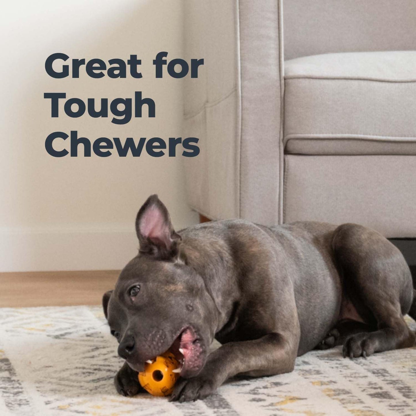 Premium Dog Dental Chew Toy – Helps Fight Plaque & Tartar | Fun Way to Help Clean Stinky, Yellow Dog Teeth – Natural Rubber is Gentle on Gums – Helps Cleans Teeth & Freshens Breath