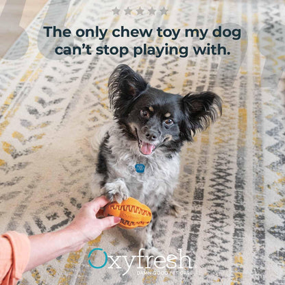 Premium Dog Dental Chew Toy – Helps Fight Plaque & Tartar | Fun Way to Help Clean Stinky, Yellow Dog Teeth – Natural Rubber is Gentle on Gums – Helps Cleans Teeth & Freshens Breath