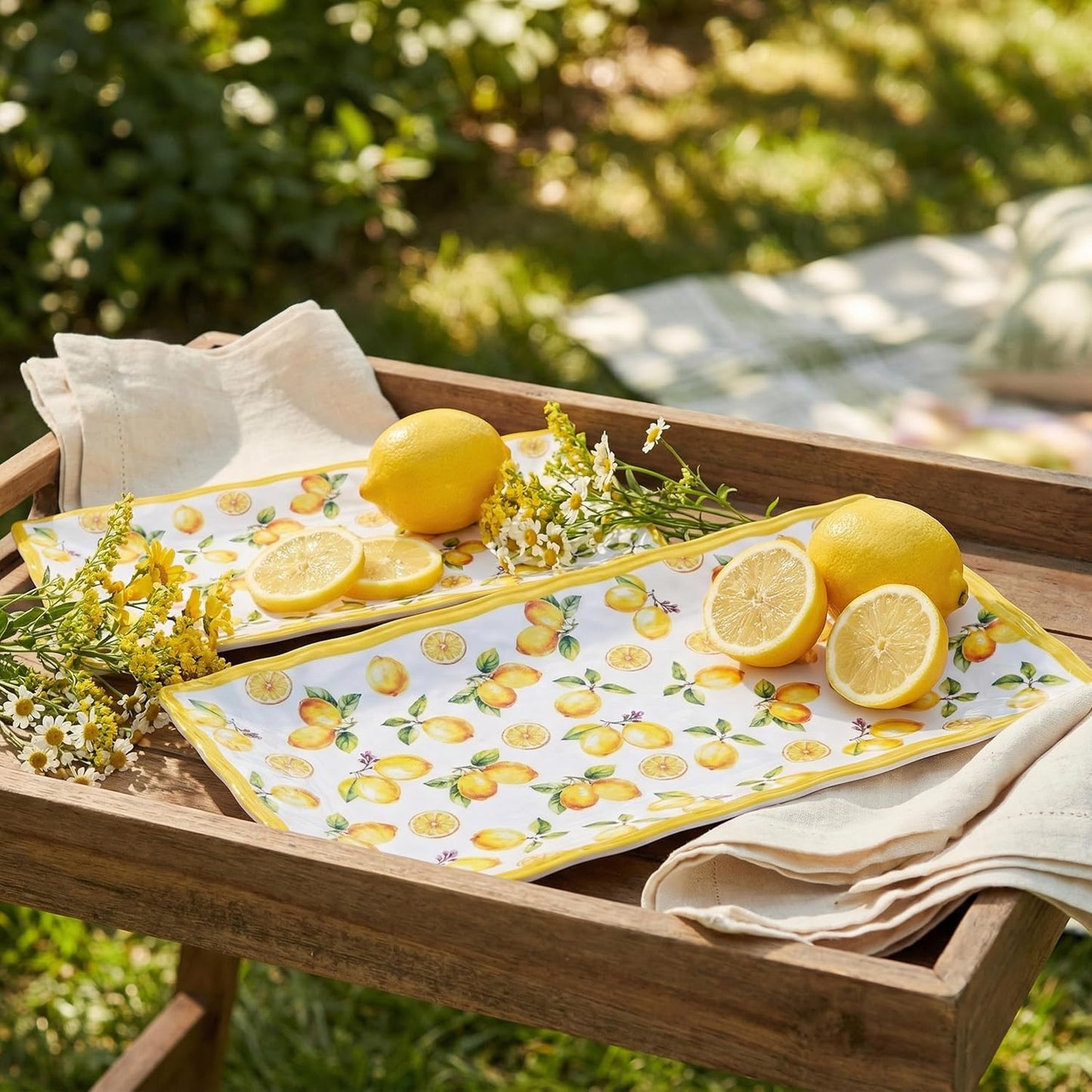 2-Piece Melamine Plates Set – 14.5x7.5 Inch Rectangular Melamine Serving Trays, Dishwasher Safe, Lightweight & Durable Dinner Plates for Kitchen, Party, BBQ, Outdoor Use,Lemon Design