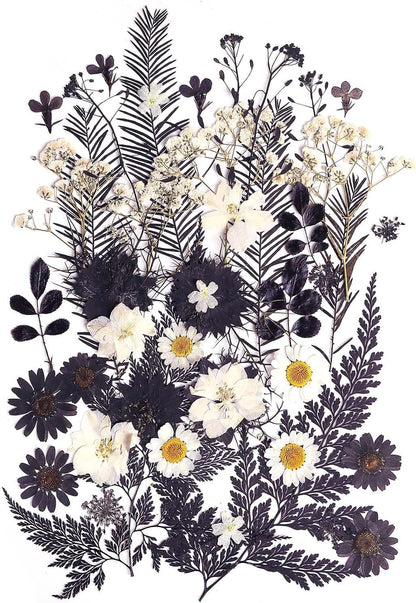 12 Types 48PCS Real Dried Pressed Flowers for Resin, Leaf Plant Herbarium for Jewelry Making Craft (Black and White)