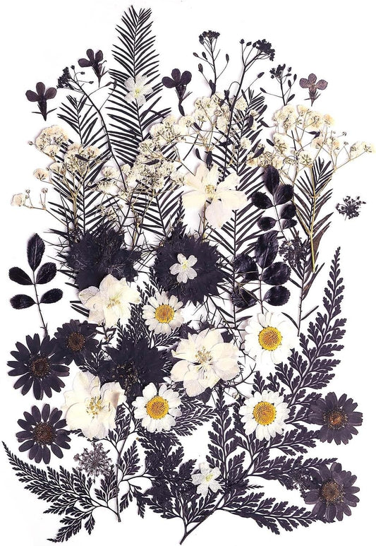 12 Types 48PCS Real Dried Pressed Flowers for Resin, Leaf Plant Herbarium for Jewelry Making Craft (Black and White)