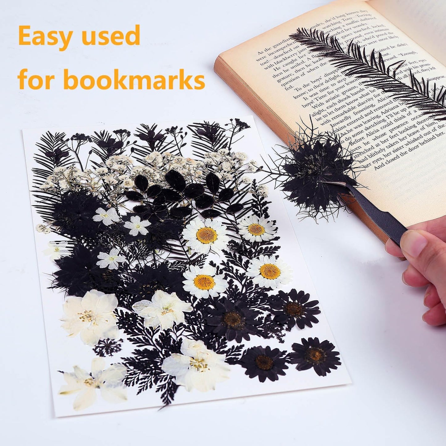 12 Types 48PCS Real Dried Pressed Flowers for Resin, Leaf Plant Herbarium for Jewelry Making Craft (Black and White)