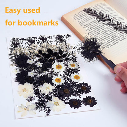 12 Types 48PCS Real Dried Pressed Flowers for Resin, Leaf Plant Herbarium for Jewelry Making Craft (Black and White)