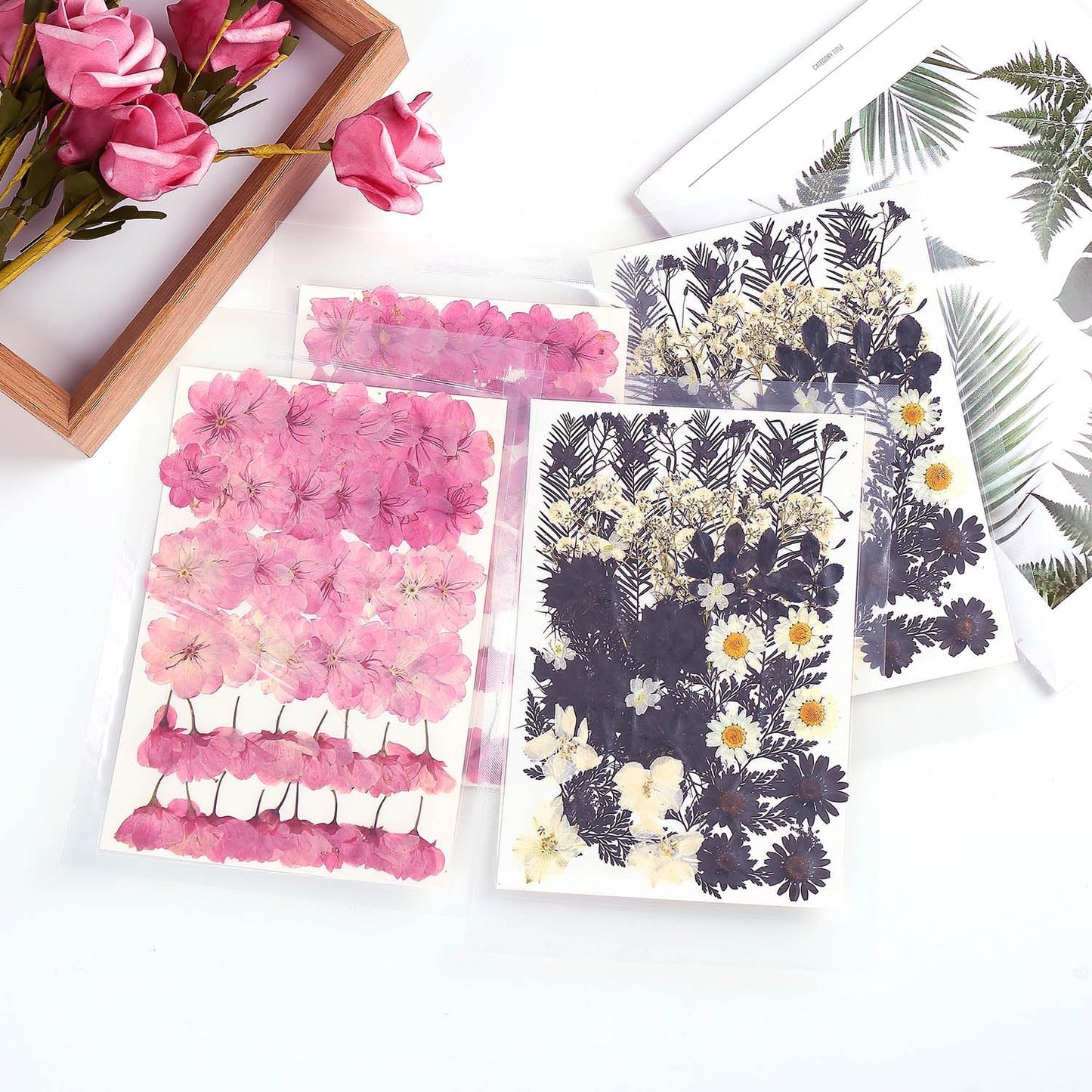 12 Types 48PCS Real Dried Pressed Flowers for Resin, Leaf Plant Herbarium for Jewelry Making Craft (Black and White)