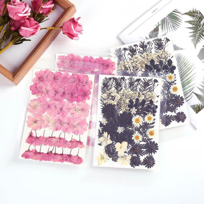 12 Types 48PCS Real Dried Pressed Flowers for Resin, Leaf Plant Herbarium for Jewelry Making Craft (Black and White)