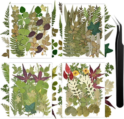 110+ Pcs Dried Flowers Leaves for Crafts, Real Pressed Flowers Dry Leaves for Resin Scrapbooking DIY Art Crafts Epoxy Resin Jewelry Mold Candle Soap Making Nails Décor