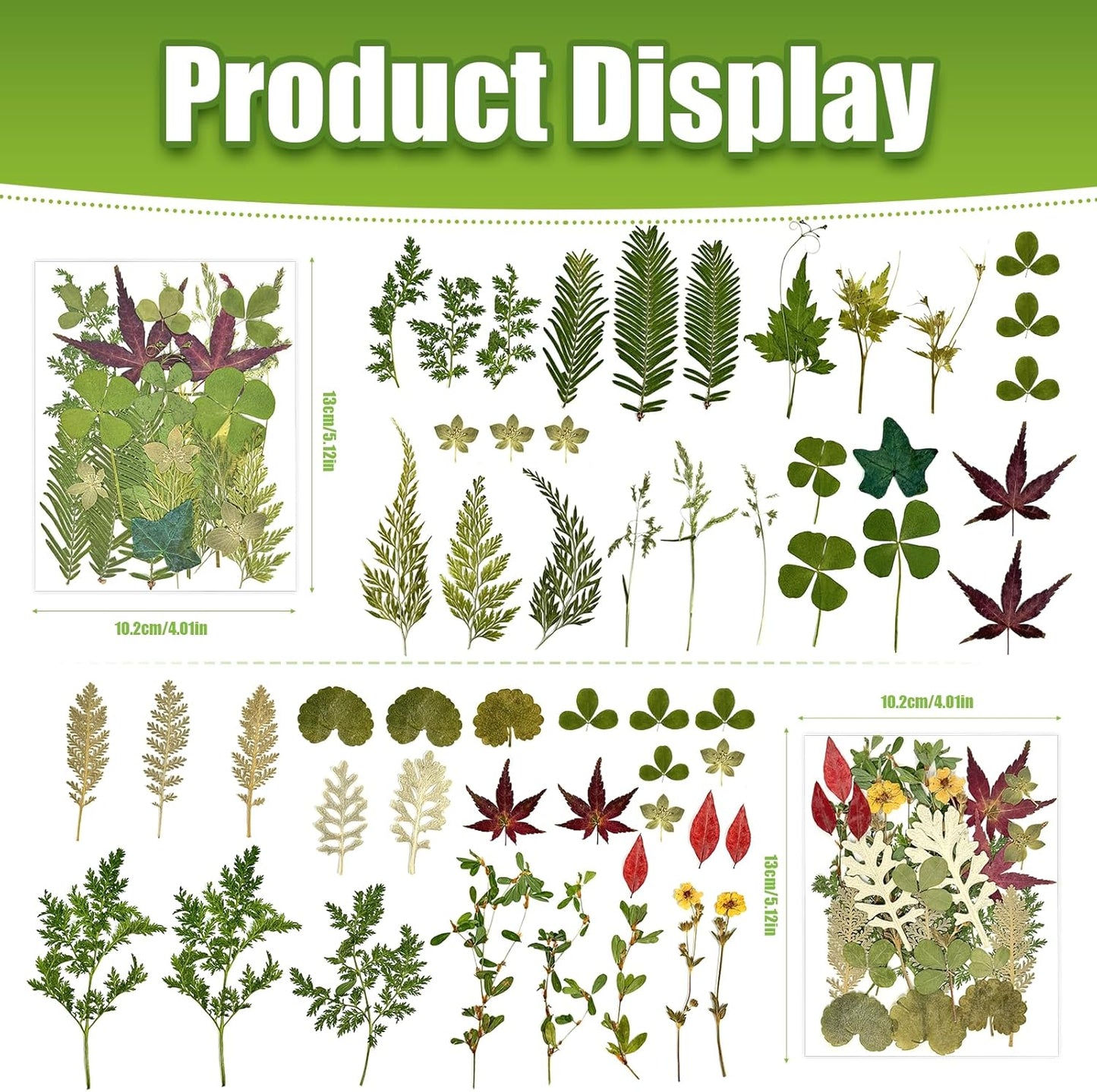 110+ Pcs Dried Flowers Leaves for Crafts, Real Pressed Flowers Dry Leaves for Resin Scrapbooking DIY Art Crafts Epoxy Resin Jewelry Mold Candle Soap Making Nails Décor