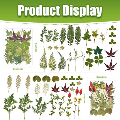 110+ Pcs Dried Flowers Leaves for Crafts, Real Pressed Flowers Dry Leaves for Resin Scrapbooking DIY Art Crafts Epoxy Resin Jewelry Mold Candle Soap Making Nails Décor