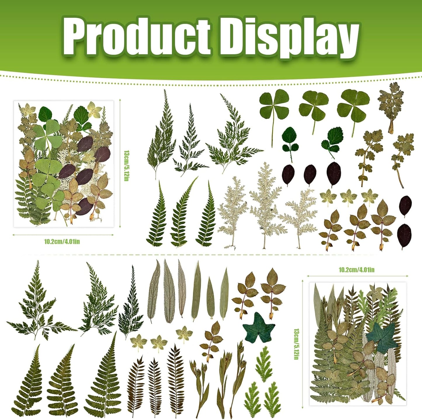 110+ Pcs Dried Flowers Leaves for Crafts, Real Pressed Flowers Dry Leaves for Resin Scrapbooking DIY Art Crafts Epoxy Resin Jewelry Mold Candle Soap Making Nails Décor