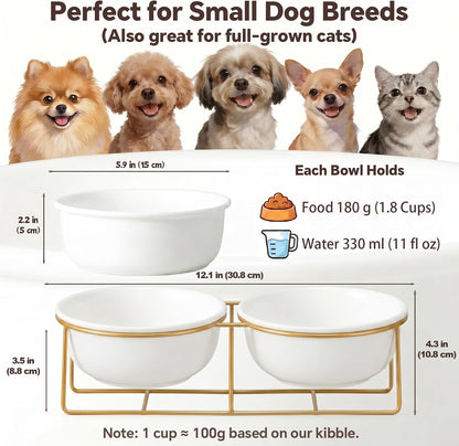 Elevated Dog Bowls for Small Dogs - 2 Ceramic Bowls with Gold Iron Stand - Raised Pet Dish Set for Food and Water - Comfortable Feeding