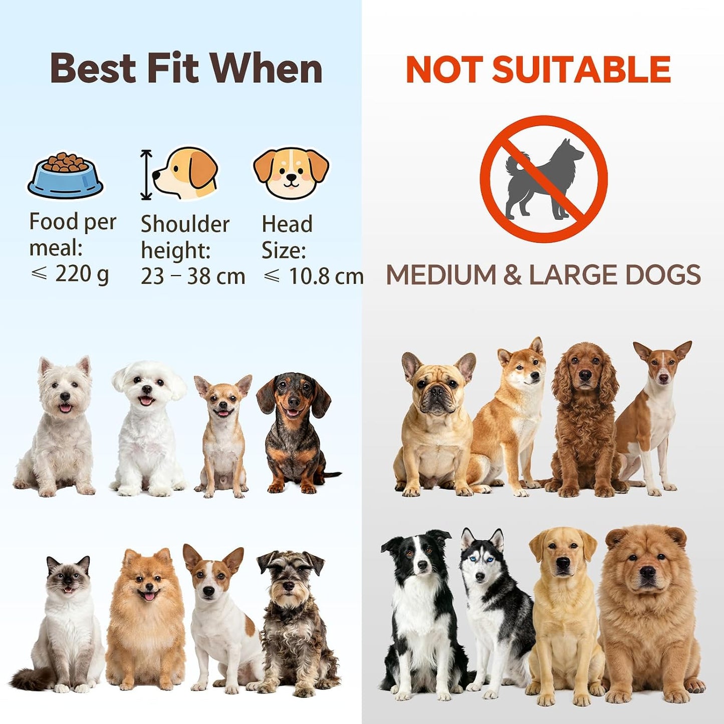 Elevated Dog Bowls for Small Dogs - 2 Ceramic Bowls with Gold Iron Stand - Raised Pet Dish Set for Food and Water - Comfortable Feeding