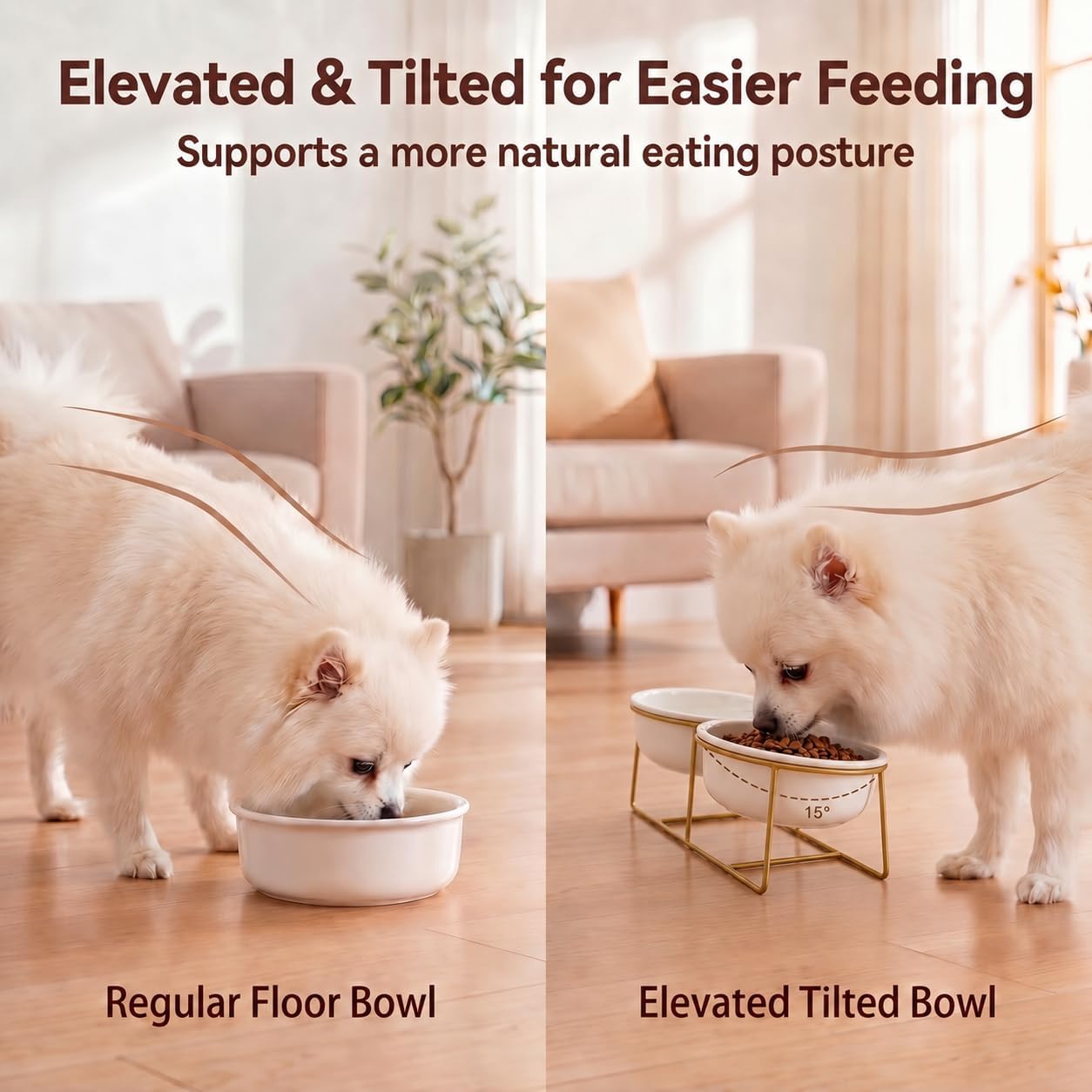 Elevated Dog Bowls for Small Dogs - 2 Ceramic Bowls with Gold Iron Stand - Raised Pet Dish Set for Food and Water - Comfortable Feeding