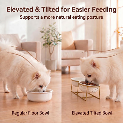 Elevated Dog Bowls for Small Dogs - 2 Ceramic Bowls with Gold Iron Stand - Raised Pet Dish Set for Food and Water - Comfortable Feeding