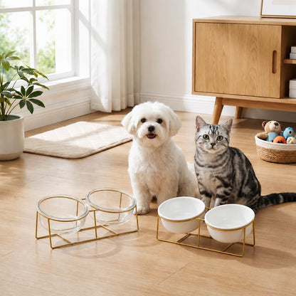 Elevated Dog Bowls for Small Dogs - 2 Ceramic Bowls with Gold Iron Stand - Raised Pet Dish Set for Food and Water - Comfortable Feeding