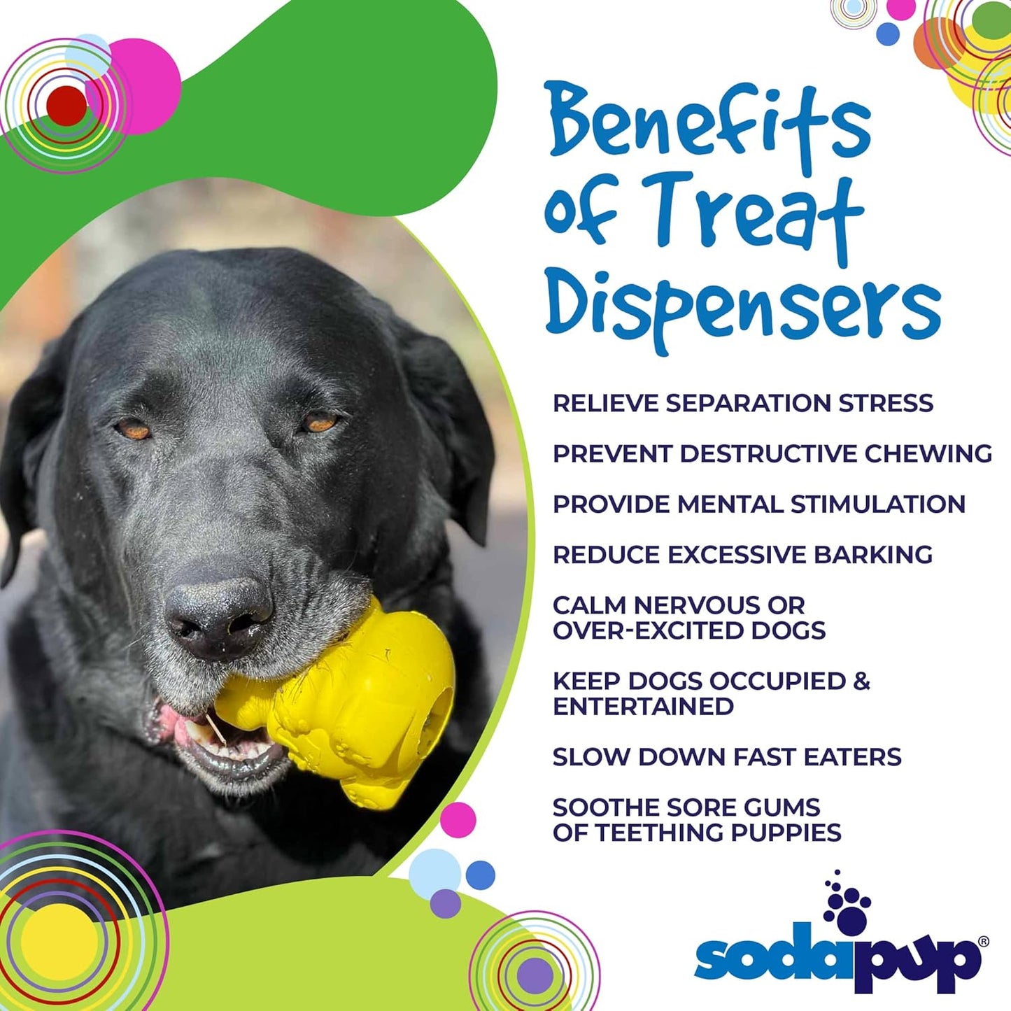Honey Bear – Durable Dog Treat Dispenser & Chew Toy Made in USA from Non-Toxic, Pet Safe, Food Safe Natural Rubber Material for Mental Stimulation, Problem Chewing, Calming Nerves, & More