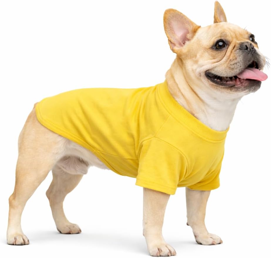 Bulldog Clothes Dog Clothing Blank T-Shirt Tee Shirts for French Bulldog English Bulldog American Pit Bull Pugs 100% Cotton Skin Care Yellow B-XL