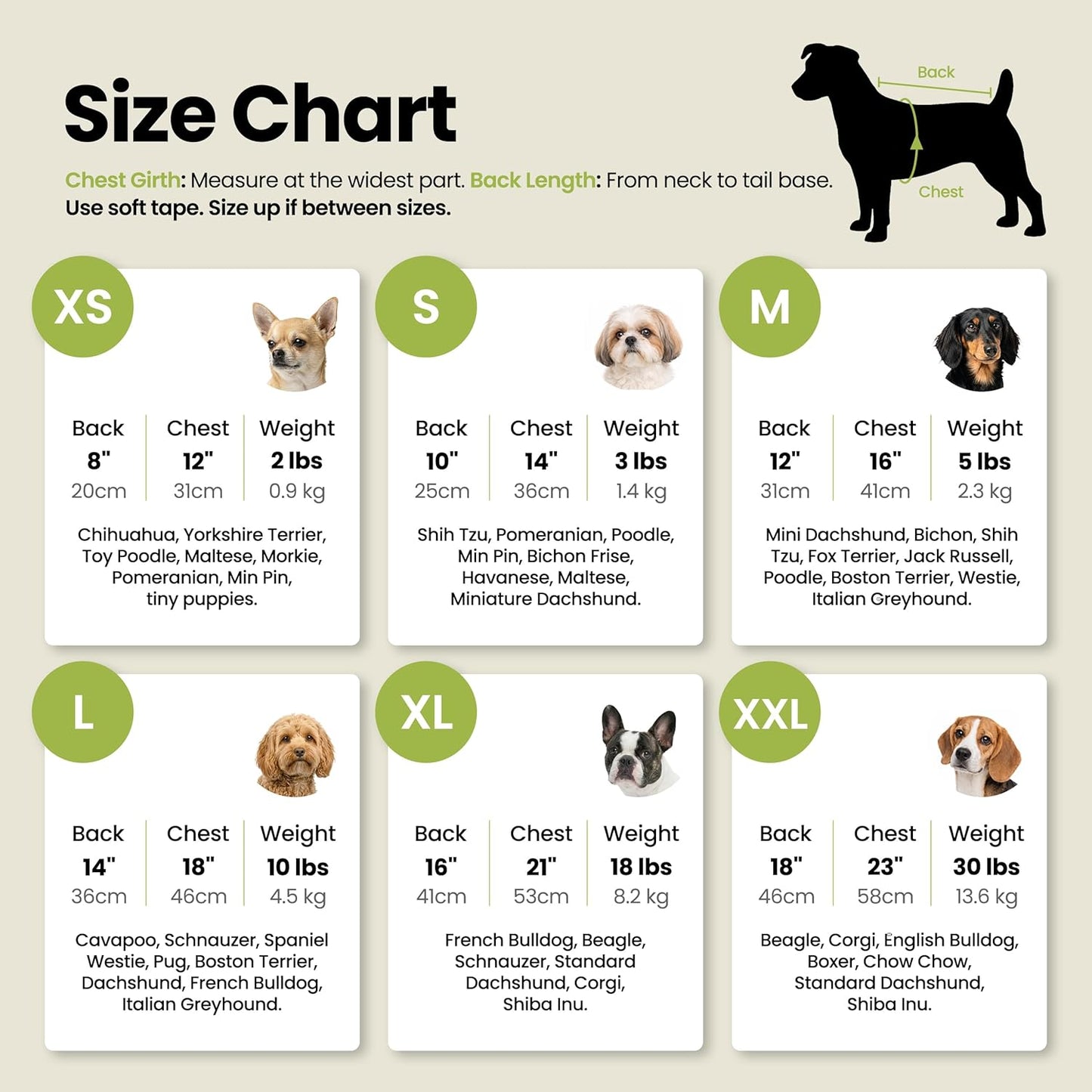 Bee the Best You Can Dog Shirt, Summer Clothes for Small Dogs Boy Girl, Funny Pet Outfit, Yellow, Brown, Blue, XS