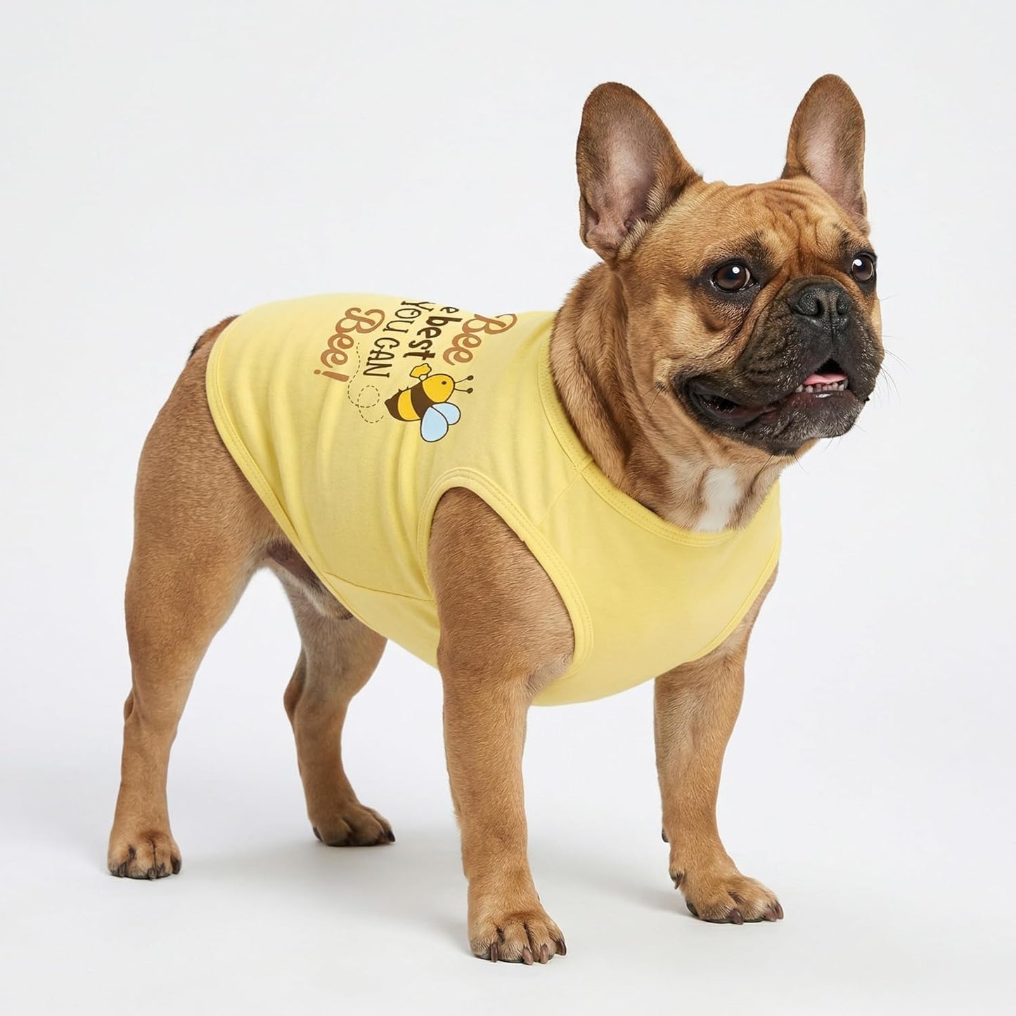 Bee the Best You Can Dog Shirt, Summer Clothes for Small Dogs Boy Girl, Funny Pet Outfit, Yellow, Brown, Blue, XS