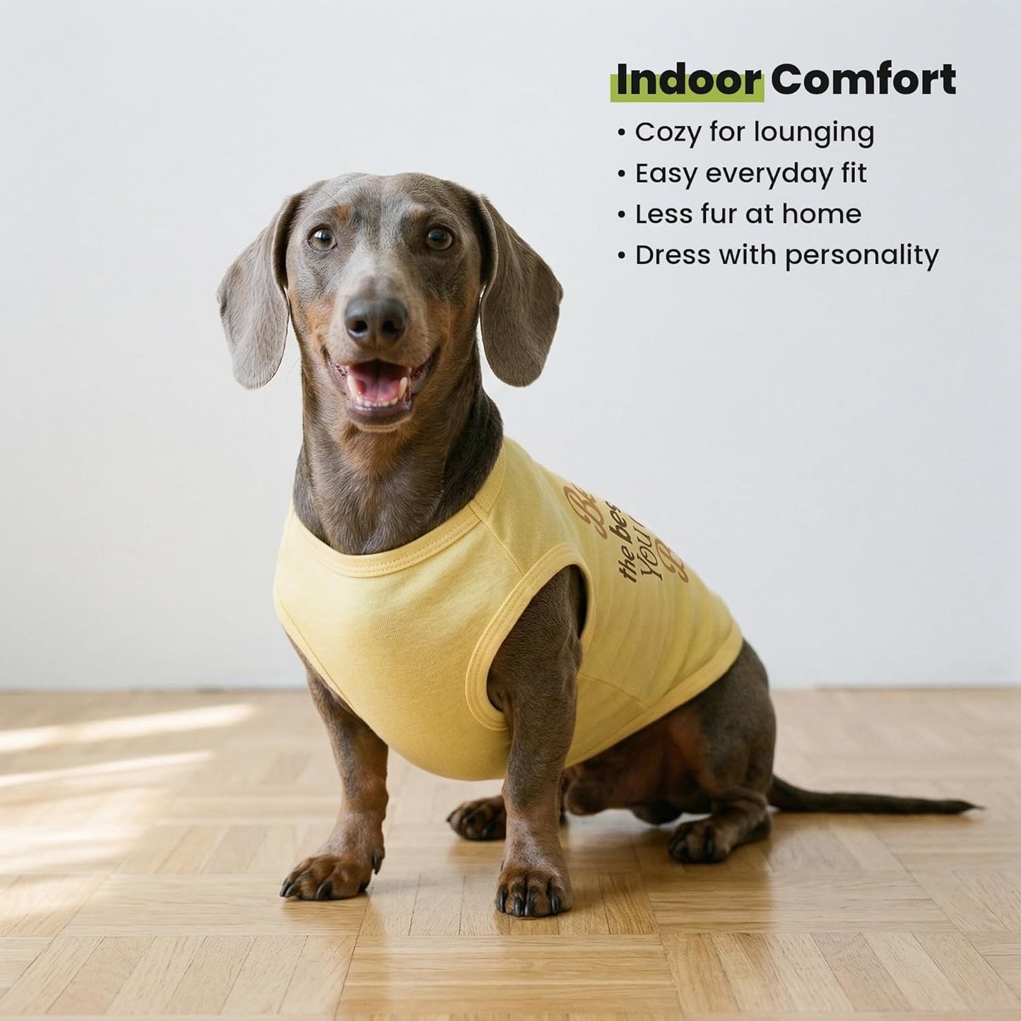 Bee the Best You Can Dog Shirt, Summer Clothes for Small Dogs Boy Girl, Funny Pet Outfit, Yellow, Brown, Blue, XS